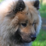 Казино с программами лояльности без депозита